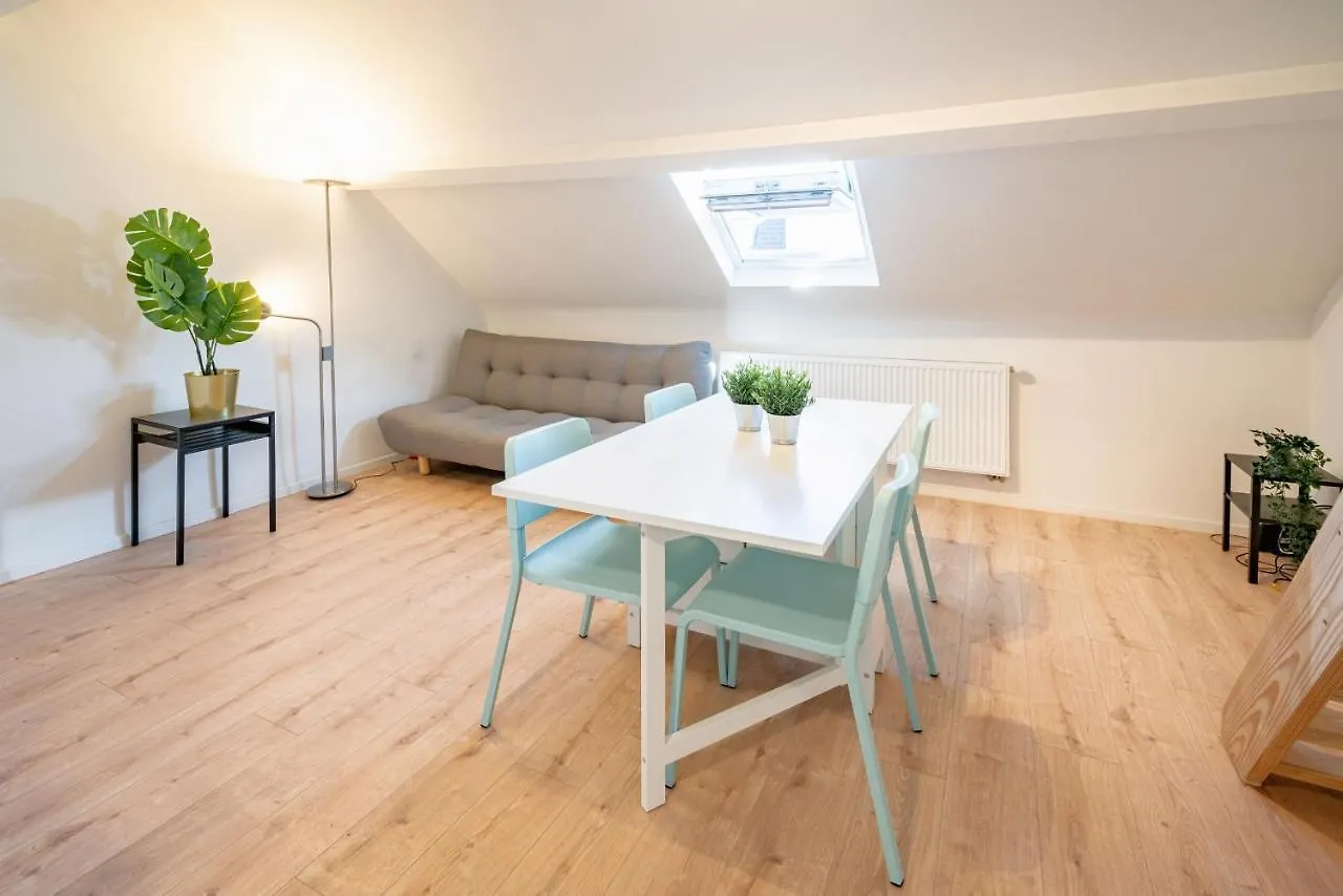 Charming Central Cityflats Anversa